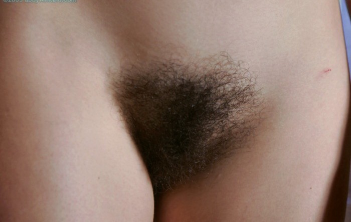 hairy_pussy_cutties_