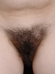 hairy_pussy_cutties_5242513
